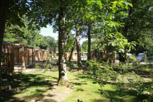 un jardin avec un groupe d'arbres et de cabanes en bois dans l'établissement Nantes Camping Le Petit Port, à Nantes