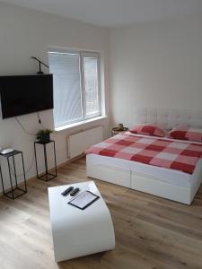 een slaapkamer met een bed en een televisie en een tafel bij Penzion DMZ in Ostrava