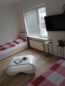 mały pokój z 2 łóżkami i telewizorem w obiekcie Penzion DMZ w Ostravie