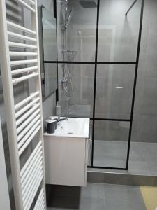 a bathroom with a white sink and a shower at Penzion DMZ in Ostrava