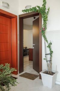 Fotografie z fotogalerie ubytování Tommy's Family Apartment v destinaci Kateríni