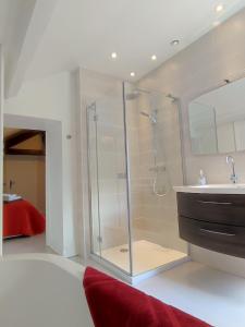 La salle de bains est pourvue d'une douche en verre et d'un lavabo. dans l'établissement Château du Pommoy, à Roussillon-en-Morvan