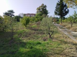 Gallery image of Villa Italia2 in Contursi