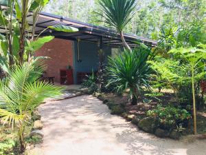 a walkway leading to a house with palm trees at Baansuan Suksangob Farm Stay in Trang