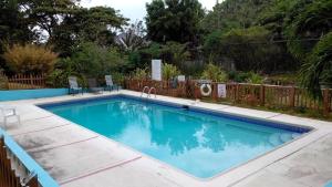 a swimming pool with blue water in a yard at The Gardens in Kingston