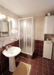 W łazience znajduje się umywalka i prysznic. w obiekcie Vila Pavle w mieście Užice