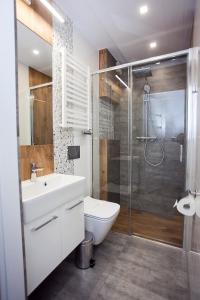 a bathroom with a toilet sink and a shower at Willowa NO. 5 APARTAMENTS in Wisła