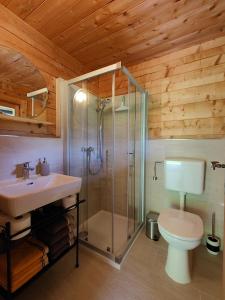 a bathroom with a shower and a sink and a toilet at Reithütte in Krispl