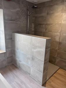 a shower in a bathroom with a tile wall at Gîte Anna in Chavanay +4 photos