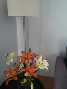 Afbeelding uit fotogalerij van Apartament pod czwórką in Sandomierz