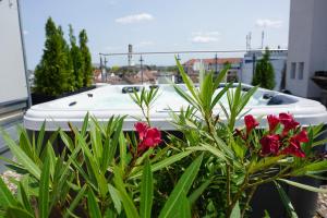 un barco sentado en un balcón con flores rojas en Panorama Penthouse Apartment mit Klima und Whirlpool für bis zu 6 Personen, en Frankenthal