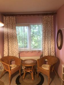 a room with two chairs and a table and a window at Agroturystyka Chłopy in Sarbinowo