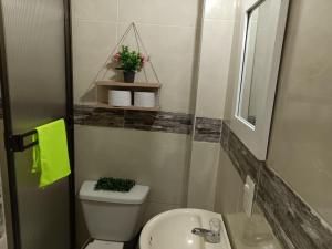La petite salle de bains est pourvue de toilettes et d'un lavabo. dans l'établissement Aparta estudio 101 primer piso, à Ibagué
