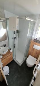 a bathroom with a shower and a toilet and a sink at Mobile home Luka in Kruševo