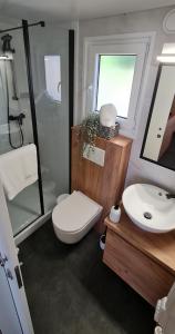 a bathroom with a toilet and a sink at Mobile home Luka in Kruševo