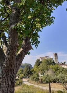 Fotografia z galérie ubytovania La locanda di nonna Jolanda v destinácii Borgo a Mozzano