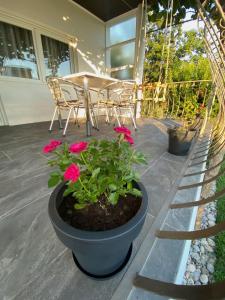a pot with pink flowers on a patio at MIR in Međugorje