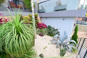 a garden with plants in front of a building at Supreme Villa in Kigali