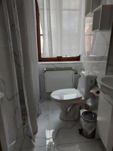 Koupelna v ubytování Hotel Asila