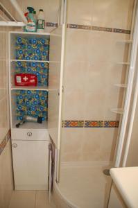 a small bathroom with a shower and a toilet at Vue mer les Becs Saint Hilaire in Saint-Hilaire-de-Riez