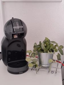 a coffee maker sitting on a table next to a plant at Appartement cosy sur Masevaux in Masevaux
