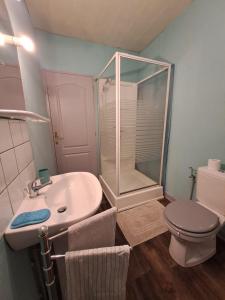 uma casa de banho com um lavatório, um chuveiro e um WC. em Appartement cosy sur Masevaux em Masevaux