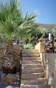 a stairway with a palm tree in a garden at Studios Psiloritis in Lístaros