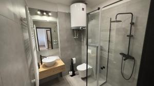 a bathroom with a glass shower and a sink at Apartmány Pod Stráží in Sušice
