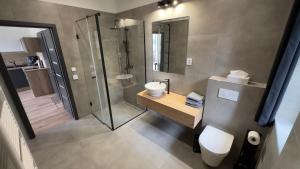 a bathroom with a shower and a sink and a toilet at Apartmány Pod Stráží in Sušice