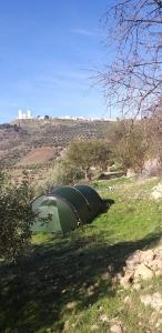 une tente verte assise dans l'herbe dans un champ dans l'établissement Dar El mokhtar Ighazran, à Ahermoumou