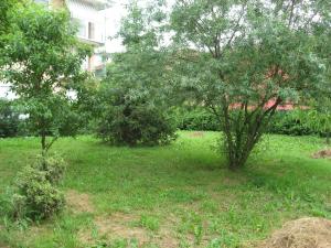 Vonkajšia záhrada v ubytovaní Casa Bruno B&B