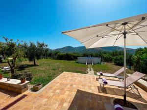 eine Terrasse mit Sonnenschirm, Stuhl und Sofa in der Unterkunft B&B Nero Buono in Cori