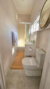 a bathroom with a white toilet and a mirror at Parsons Hill Apartment in Glendinningvale