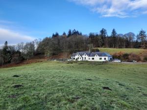 a large white house on a hill in a field at Kenmure Kennels in New Galloway