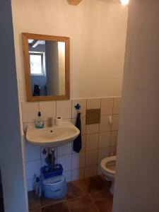 a bathroom with a sink and a toilet at Mala oaza in Vrisnik