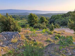 Aussicht von der Spitze eines Hügels mit Bäumen in der Unterkunft Mala oaza in Vrisnik