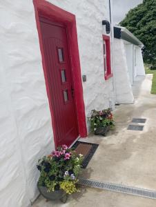 uma porta vermelha num edifício branco com vasos de plantas em Tiernan's Luxury King Room Ensuite em Charlestown