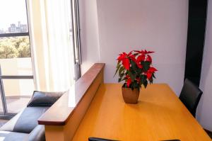 uma mesa de madeira com um vaso de plantas em cima em Rosario Suites em Rosário