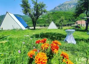 twee tenten in een veld met bloemen in het gras bij UNDER STARS HOUSE in Vermosh