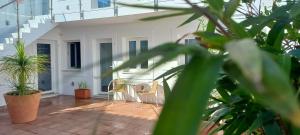 a patio with chairs and potted plants and stairs at Apartamentos Naturalis in Vila Nova de Milfontes