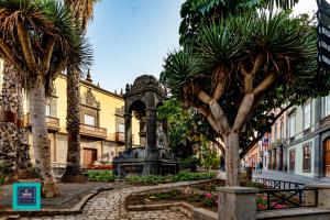 a street with a fountain and palm trees in a city at Vegueta Old Town, Las Palmas in Las Palmas de Gran Canaria