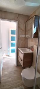 赫瓦爾的住宿－Primitivo Bay Hvar，一间带卫生间、水槽和镜子的浴室