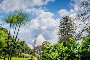 a view of the sydney opera house with palm trees at KozyGuru / Botany / 3 Bedroom Designer Apt / NBO003 in Sydney