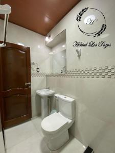 a bathroom with a toilet and a sink at Hostal Los Pozos in Potosí