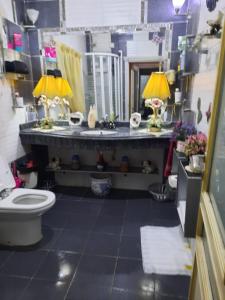 La salle de bains est pourvue de toilettes et d'un lavabo avec deux lampes. dans l'établissement كورنيش المعادي, au Caire