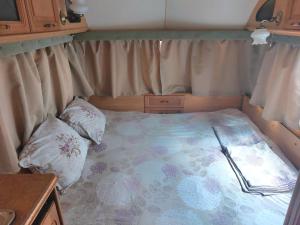 Легло или легла в стая в Каравана Summer time