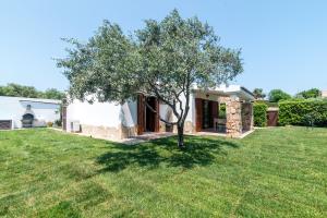 Zahrada ubytování Villetta Teresa