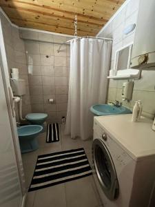 La salle de bains est pourvue d'un lave-linge et d'un lave-linge. dans l'établissement Ljubav Stara Zaovine, à Lazići
