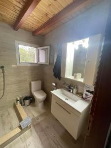 uma casa de banho com um WC, um lavatório e um espelho. em Villa Mitsialis em Lakka