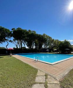 une grande piscine bleue avec des arbres en arrière-plan dans l'établissement Villetta 8 - Piscina e campi da gioco - Narramondo Villas, à Giulianova